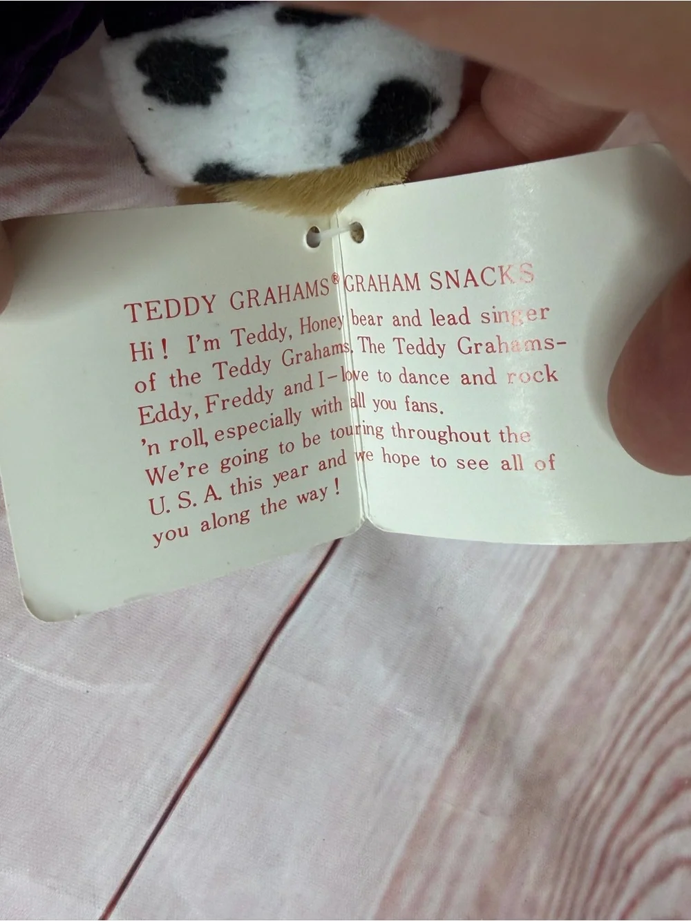 Vintage 1990 Teddy Grahams Applause Nabisco Plush Bear Sunglasses 10” Tagged